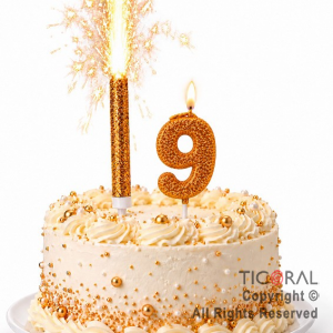 SET BENGALA Y VELA NUMERAL NUMERO 9 CON GIBRE ORO